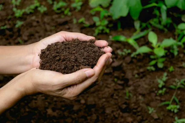 Compost handled as a farm input